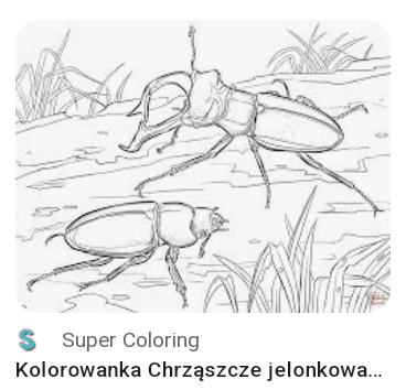 Żuczek